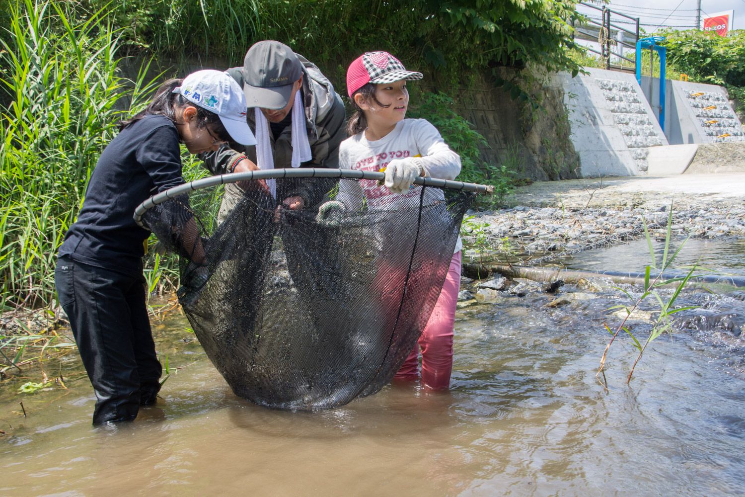 浅い川の中に男性と2人の女の子が立っていて、大きな網にかかった生きものを見ている写真