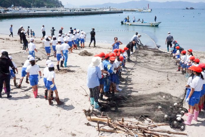 赤や白の帽子をかぶった小学生たちが浜辺に並び、地引網を大人と一緒に力を合わせて引いている様子の写真