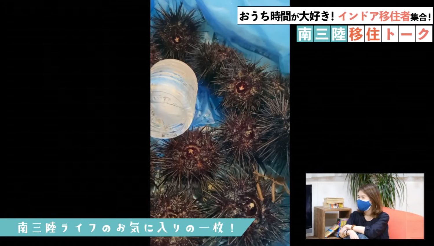青いビニールの上に新鮮な黒いウニが並べられた映像が映し出され、右下にはマスク姿の女性が見ているワイプが表示された画像