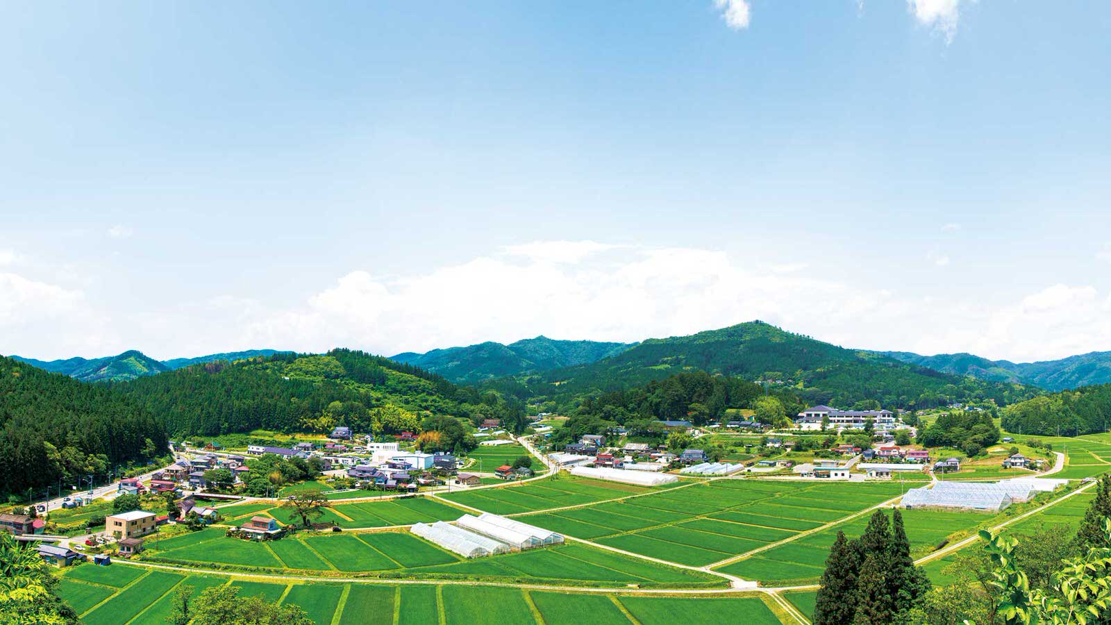 緑豊かな山々に囲まれた田園風景の中に小さな集落が広がり、ビニールハウスと広がる畑が見渡せる写真