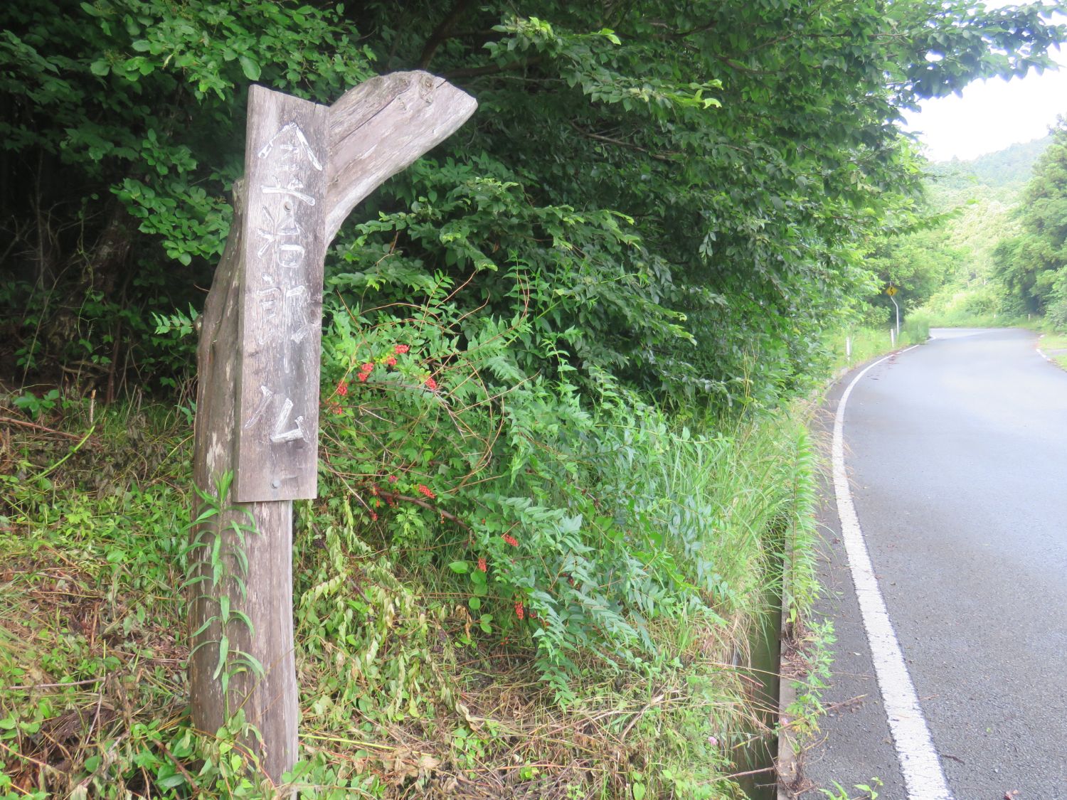 緩やかにカーブした山道が続いていて、周囲は深い緑の木々に囲まれている左側に、木の柱に「金次郎仏」と彫られた縦書きの木製看板が立っている写真