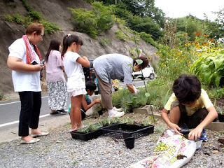 数人の女性や子どもたちが道路脇の花壇の周りで苗ポットを作っている写真
