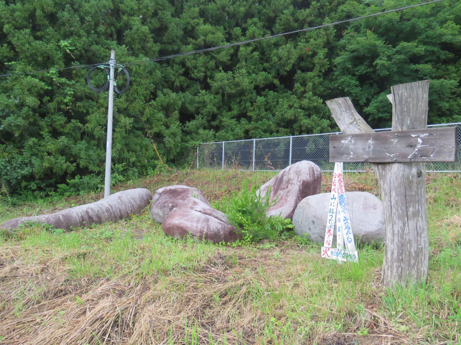 木々に囲まれた柵の手前の斜面に設置された「なまこ石」と書かれた木製の看板と注意書きのある三角柱の立て札がある傍に、巨大な石の塊が複数並び、左奥側には太く長い石が地面に横たわっている写真
