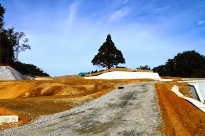 白い擁壁と一本の大きな木が見える、掘り起こされた土が広がる傾斜地の造成現場の工事途中の丘の写真