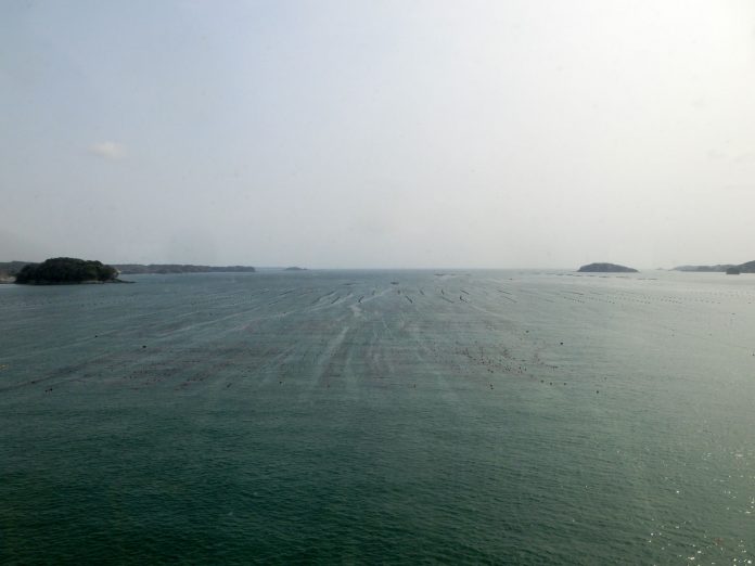 小さな島が点在する海に牡蠣の養殖のブイが無数に設置されている写真