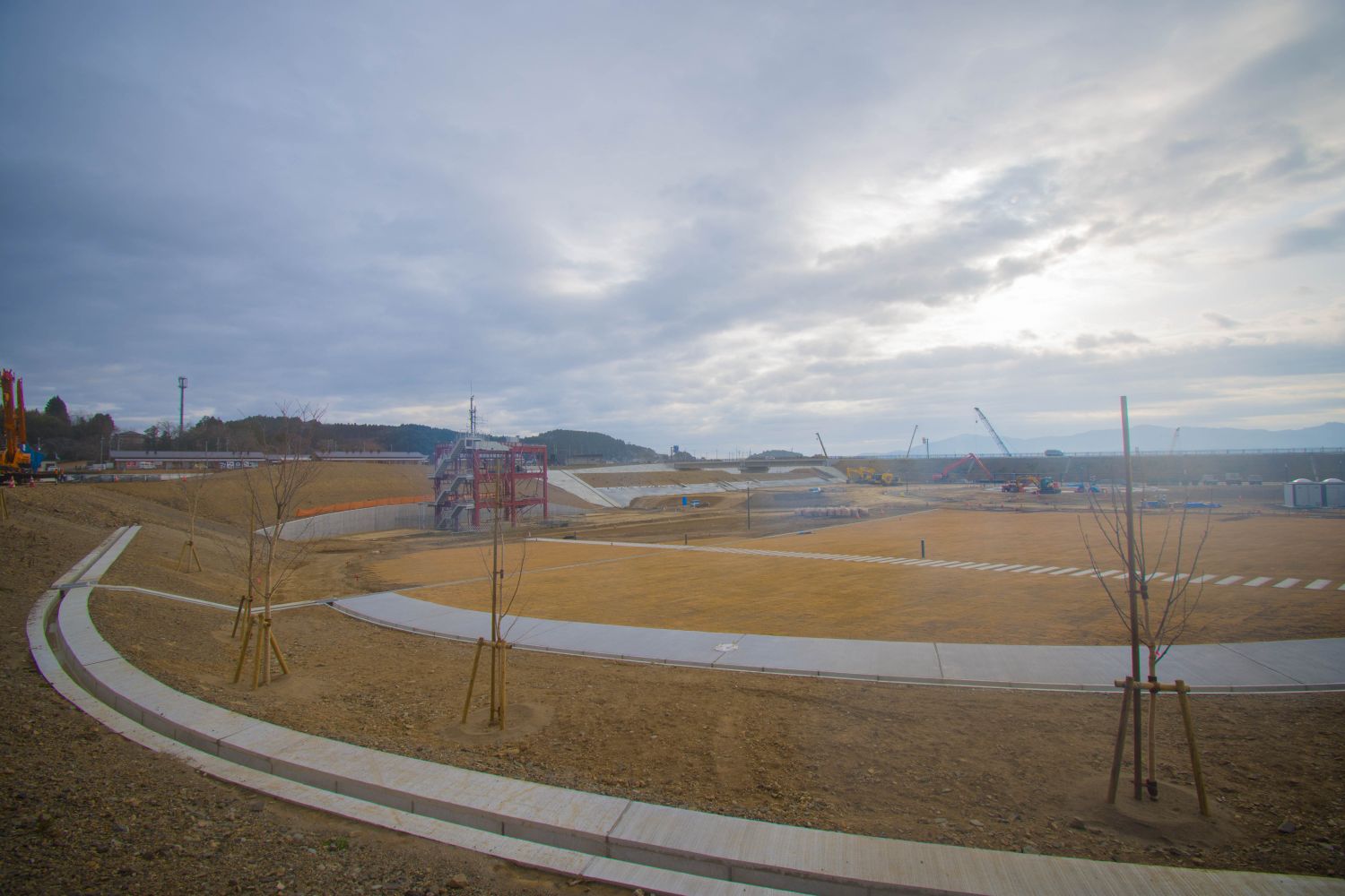 手前には、木々が数本植えられ、広大な造成地と震災復興祈念公園の風景を撮影した写真