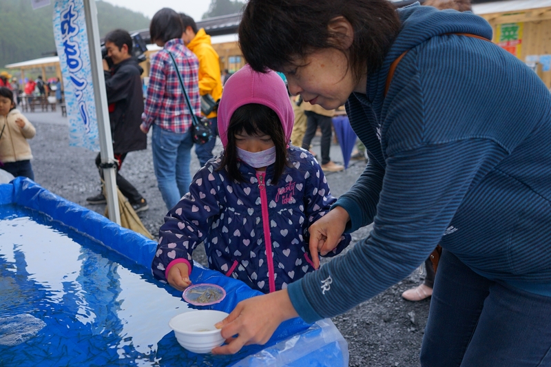 水を張った大きな水槽から、女の子が小さな網でしろうおをすくって、隣に立った女性が持っている白いお椀に入れようとしている様子の写真