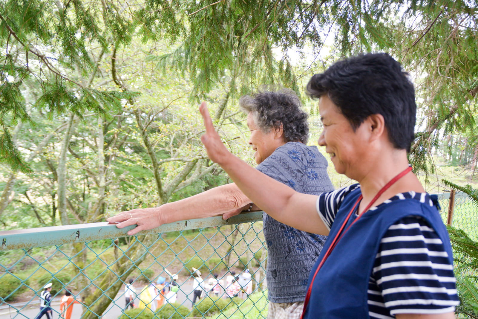 木々に囲まれた屋外の高台で、高齢の女性二人がフェンスのそばで下の道路を歩く人々に笑顔で手を振っている写真