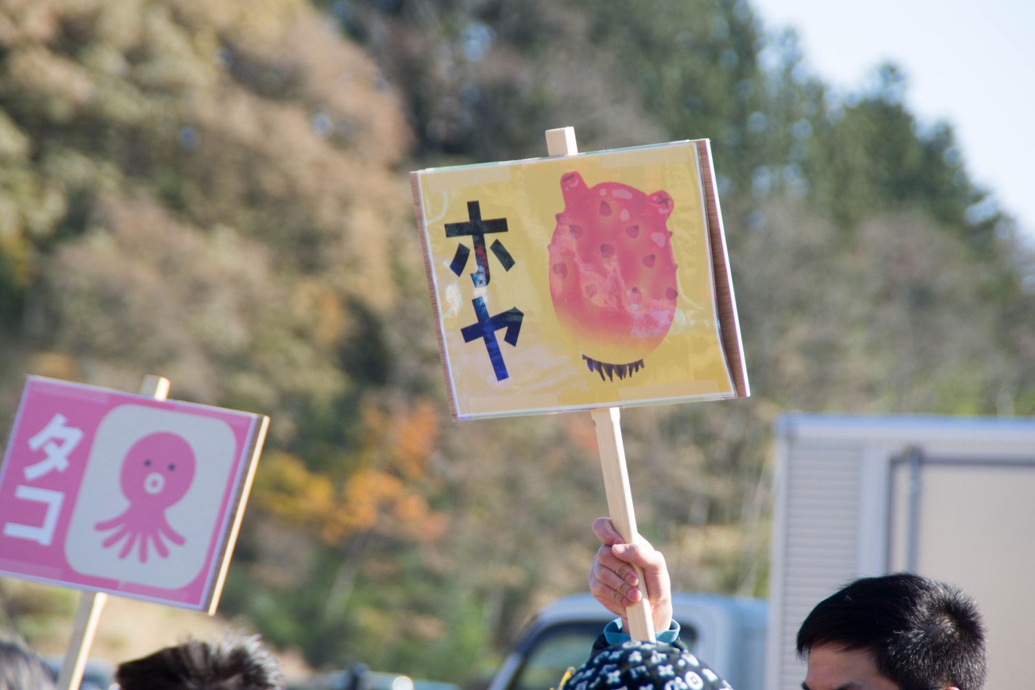 イラストと共に「ホヤ」や「タコ」とチーム名が書かれた小さな看板を上に上げた手元をアップで撮影した写真