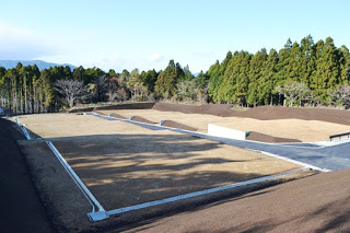 整地された平らな宅地が複数並び、背景には高い木々が立ち並ぶ静かな造成地の写真