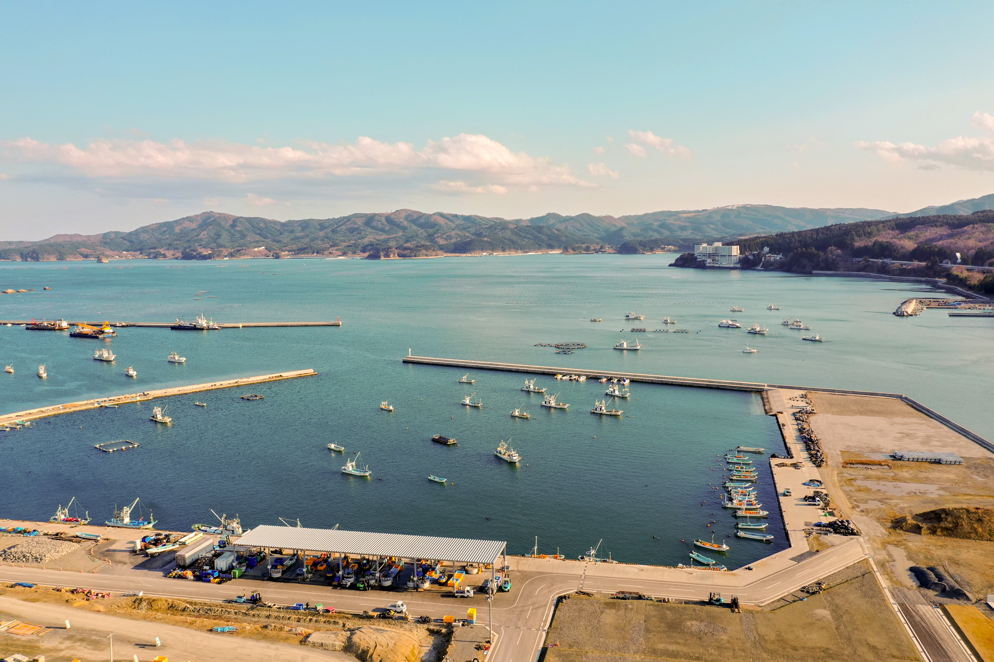 多数の船が停泊し、海上にも点在する海辺の港を上空から撮影しており、防波堤に囲まれた港の奥には山々が広がり、海岸沿いには建物や施設が並ぶ港の写真