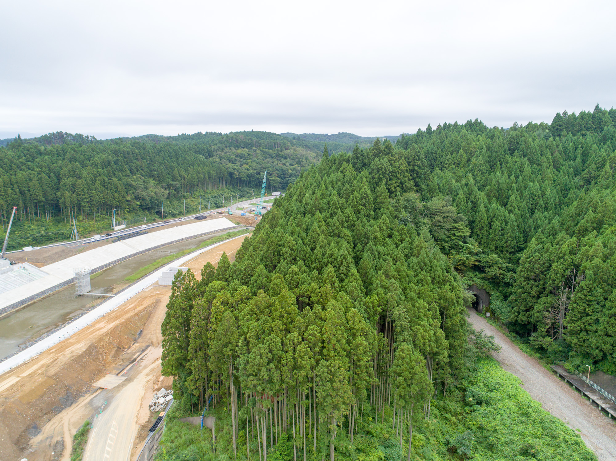 曇り空の下、左側に建設中の道路や工事機材が見られ、右側には針葉樹と思われる緑豊かな森林が奥まで広がっている写真