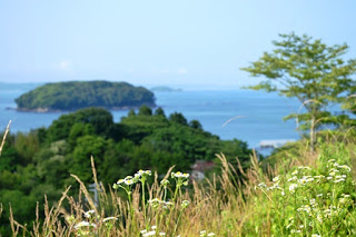 青く澄んだ空の下、手前には野花や背の高い草が生い茂り、その奥には木々や緑が広がり、さらに遠くには木に覆われた島と海が見える、自然の美しさが感じられる風景の写真