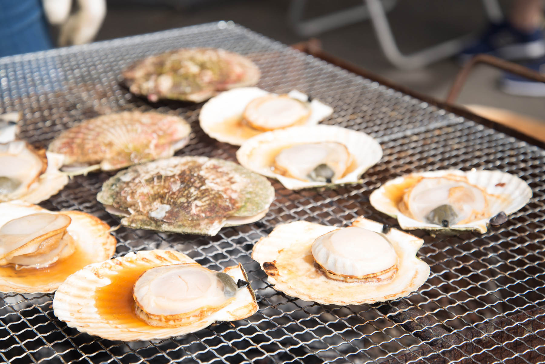 焼き網の上でたくさんの殻付きのホタテが焼かれている写真