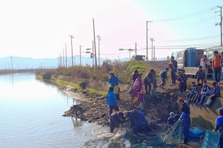 川のほとりで大勢の人々が集まり、網ですくった鮭を引き上げたり見学したりしていてる様子を写した写真