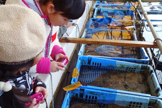 子どもたちが水槽の魚を熱心に観察している様子の写真
