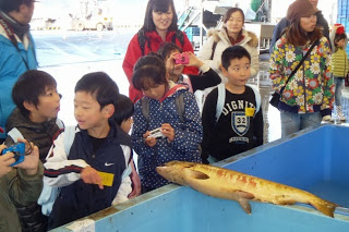 見学に来た子どもたちが大きな魚を間近で見て笑顔で楽しんでいる様子の写真
