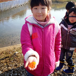 ピンクのジャンパーを着た女の子が笑顔で手のひらにいくらをのせて見せている様子の写真