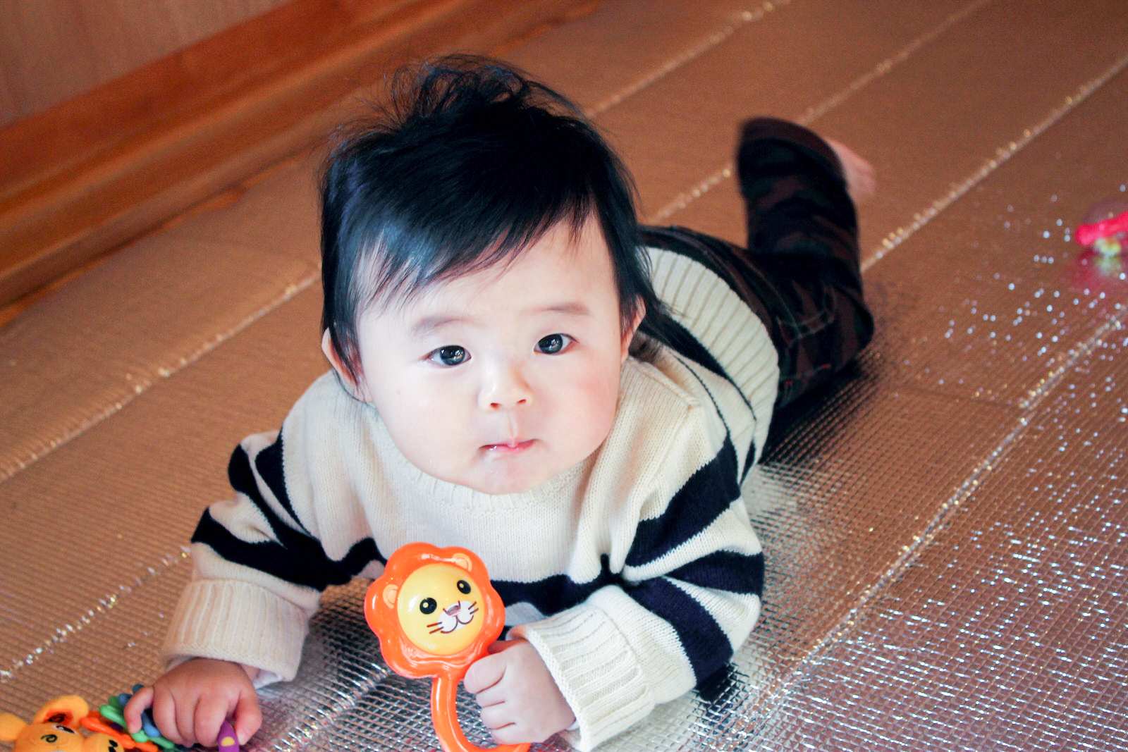 室内の銀色の断熱シートの上に、オレンジ色のライオンのおもちゃを持っている赤ちゃんがうつ伏せになり、カメラの方を見つめている写真