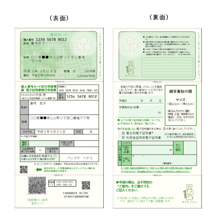 左：個人番号と氏名、住所が記載されている縦長の用紙の個人番号通知カードのおもて面、右：マイナチャンのイラストがあり顔写真添付欄がある縦長の用紙の個人番号通知カードのうら面の見本