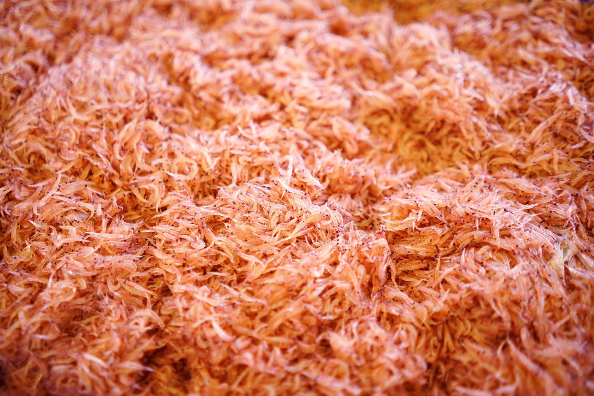 山のように積まれた赤く細かい桜えびがびっしりと並んでいる写真