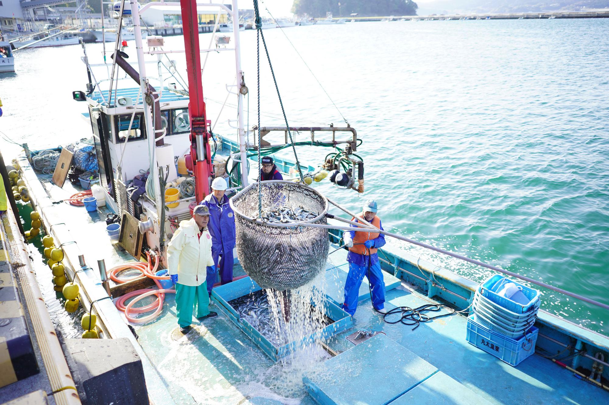 港に停泊した漁船の上で漁師たちが網いっぱいの魚を水揚げしている様子の写真
