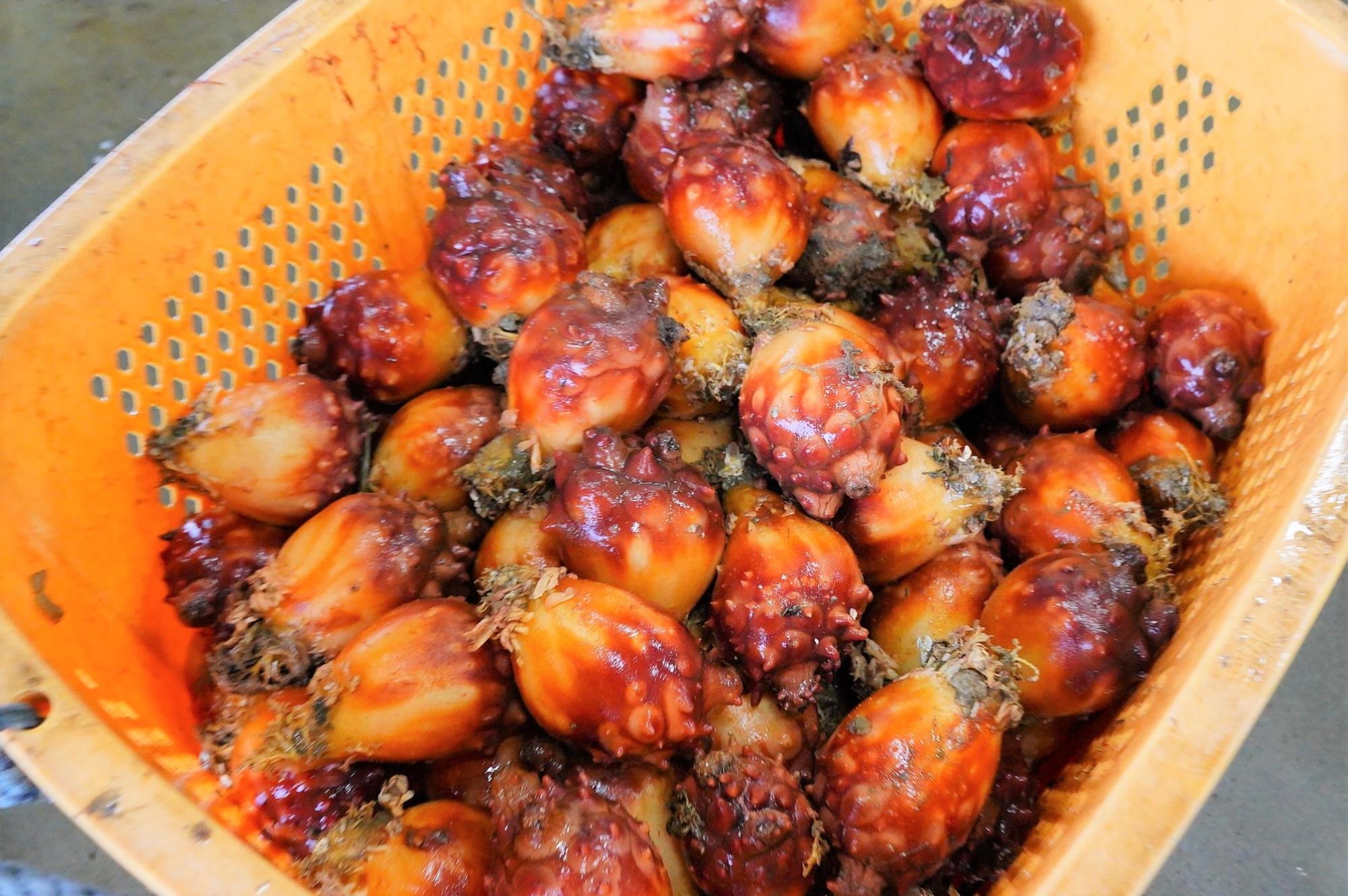 オレンジ色のカゴの中に表面がごつごつしたホヤがたくさん入れられている写真