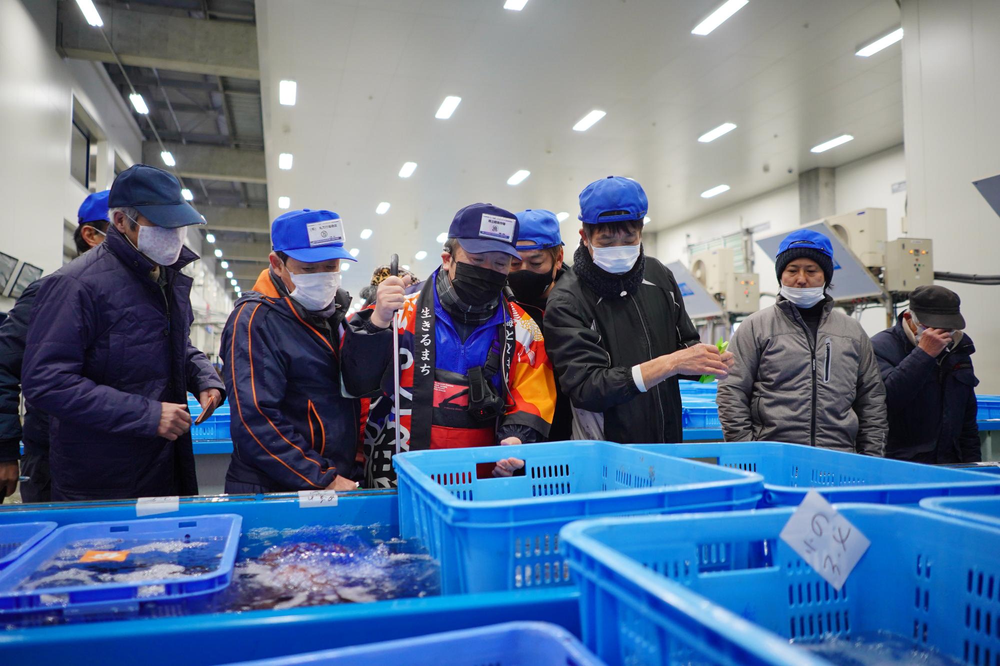 青い帽子をかぶった人達が水揚げされた魚を囲んで見て商談している市場の様子の写真