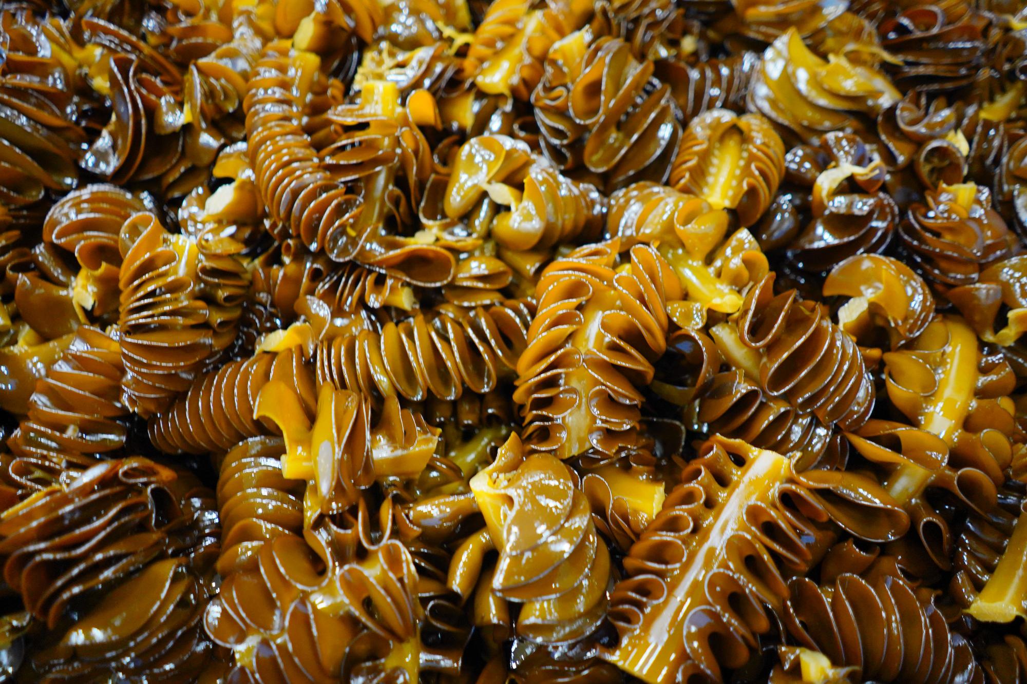 茶色く艶のあるギザギザとした形の昆布がぎっしりと敷き詰められている写真