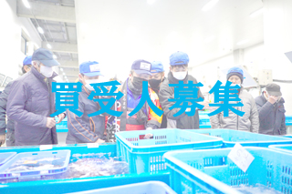 「買受人募集」青い帽子をかぶった市場関係者が魚市場で魚を見ている写真（買受人募集のページへリンク）