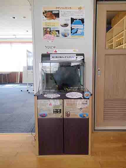 建物の室内の一角に設置された水槽展示で、上部に解説ポスター、下部のキャビネットには関連する説明や写真が貼られ、周囲には水槽の生き物についての案内が掲示されている水槽展示コーナーの写真