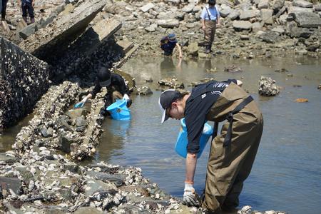 干潟の水辺に立ち生物を探している参加者たちの写真