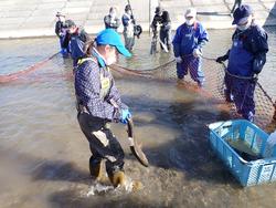 子どもたちが川の中で長靴を履いて魚を捕まえている様子の写真