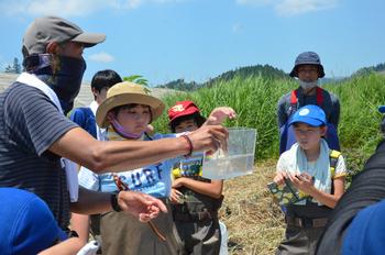 男性が透明な容器に入れた生きものを子どもたちに見せている写真