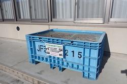 建物の外に置かれた、アマモの苗が入った大きな青いプラスチック製のコンテナの写真