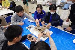 青いビニールシートが敷かれた机を囲んだ数人の子どもたちが、アマモの種をポットに植える作業を行っている写真