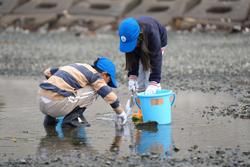 子どもたちが海辺の浅瀬でバケツの中に採取した生きものを入れている様子の写真