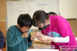 子どもと大人が虫眼鏡を覗いて何かを観察している写真