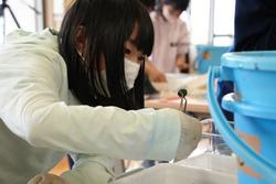 透明の水槽の中をのぞき観察している女の子の写真