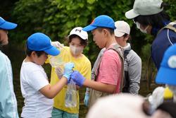 川辺で2人の男の子が持ったビニール袋に白いキャップを被った子どもが採取した生き物を入れている様子の写真