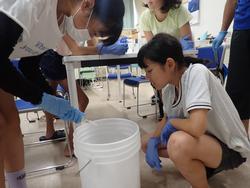室内の床に置かれたバケツの中で環境DNAをろ過する作業を行っている子どもたちの写真