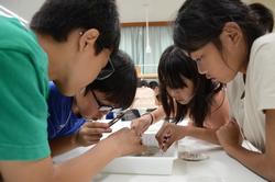 4人の子供たちが白いトレイを囲んで観察している様子の写真