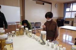 瓶に入った海の生き物の標本を、子どもたちが間近で観察している教室内の写真