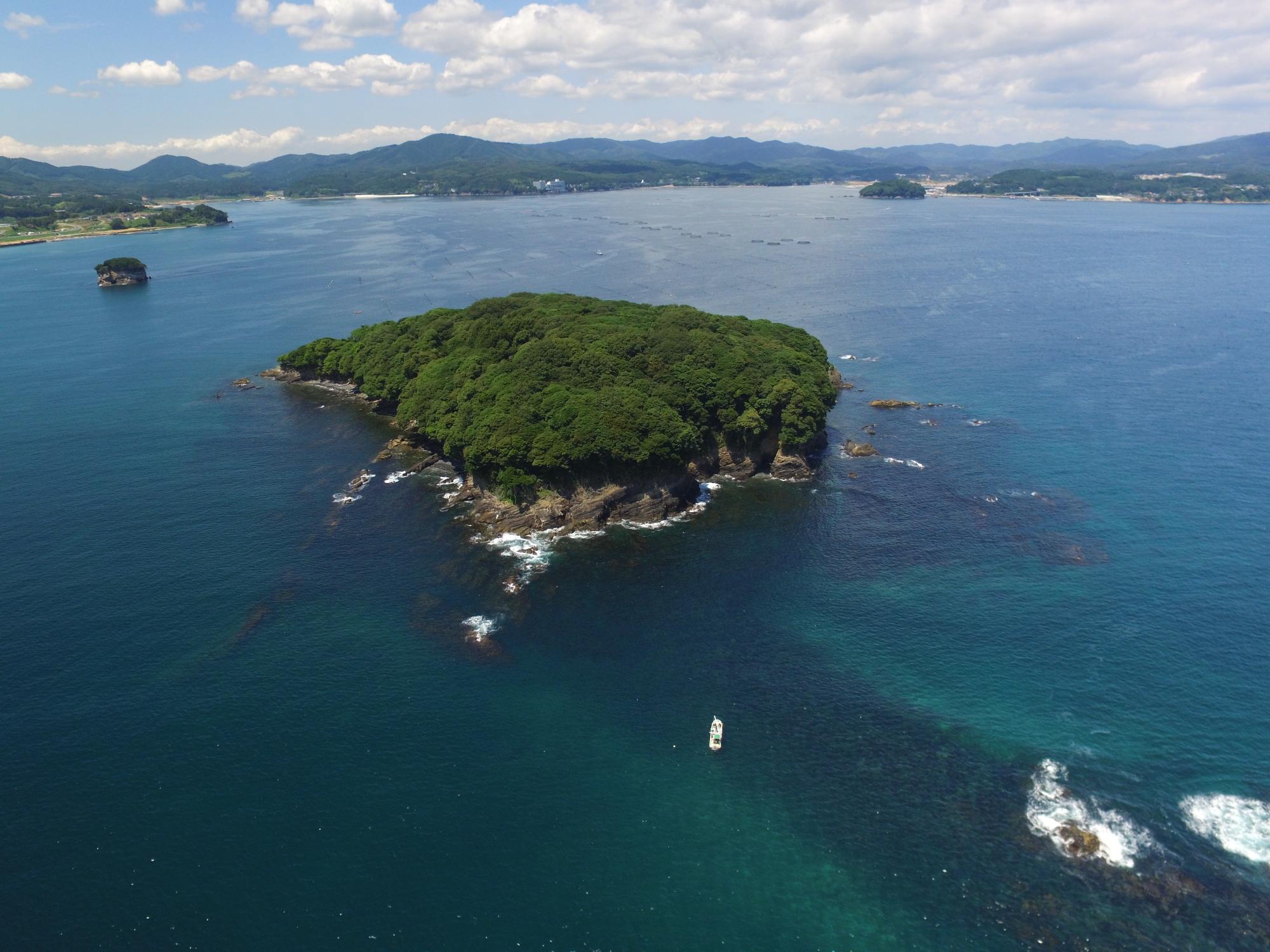 海の中に浮かぶ、木々が茂る小島を上空から写した写真