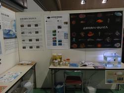海中生物に関する複数のポスターが壁に貼られ、テーブルの上には標本瓶や水槽などが置かれた、海の生物の展示ブースを写した写真