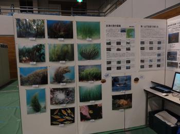 展示会場のブースに設置されたパネルに、多様な海藻や海中の景色、水中生物などを写した複数の写真が展示されている様子を撮影した写真