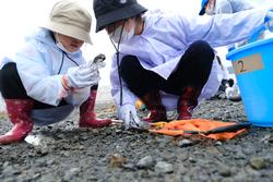 子どもたちが浜辺で貝を観察している写真