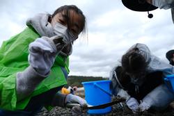 女の子が浜辺で見つけたものをカメラに向かって見せている写真