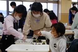 子どもたちが水槽の中の生き物を見ている写真