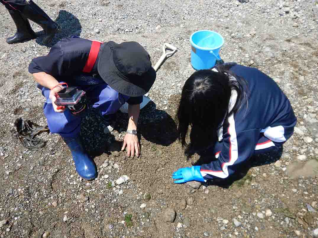 黒い帽子を被った男性と紺色のジャージ姿の女子生徒が座り地面を見ている表層生物の探索の様子の写真
